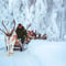 Private - Magical Reindeer Sled Ride Adventure in Levi (By request)