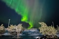 Northern Lights Hunt by Car, Levi — 2-hour Aurora hunt