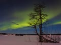 Northern Lights Hunt by Car, Levi — 2-hour Aurora hunt