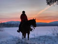 A small group horseback riding tour in the snow
