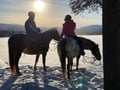 A small group horseback riding tour in the snow