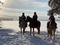A small group horseback riding tour in the snow