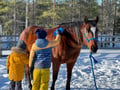 A small group horseback riding tour in the snow