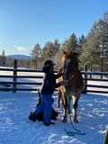 A small group horseback riding tour in the snow