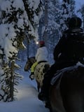A small group horseback riding tour in the snow