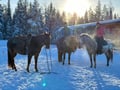 A small group horseback riding tour in the snow
