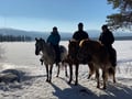A small group horseback riding tour in the snow