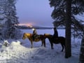 A small group horseback riding tour in the snow