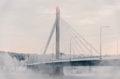 Rovaniemi: Private City Sightseeing by Limousine (1.5h)