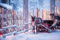 Santa Claus Village & Explore Rovaniemi – Full-Day Adventure from Levi