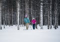Skin based skiing in to old forest and to the lake