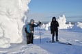 Skin based skiing in to old forest and to the lake