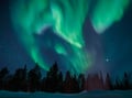 Night Snowshoeing — search for the Aurora, Levi