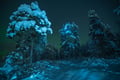 Night Snowshoeing — search for the Aurora, Levi