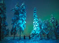 Night Snowshoeing — search for the Aurora, Levi