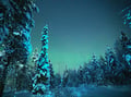 Night Snowshoeing — search for the Aurora, Levi