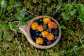 Arctic Berry & Mushrooms Picking Hike