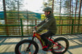 Levi Wilderness E-Fatbike Tour with Campfire, 3-4 hrs