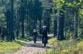 Levi Wilderness E-Fatbike Tour with Campfire, 3-4 hrs