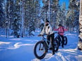 Levi Wilderness E-Fatbike Tour with Campfire, 3-4 hrs