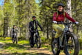 Levi Wilderness E-Fatbike Tour with Campfire, 3-4 hrs