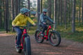 Levi Wilderness E-Fatbike Tour with Campfire, 3-4 hrs