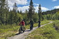 Levi Wilderness E-Fatbike Tour with Campfire, 3-4 hrs