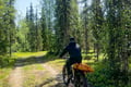Levi Wilderness E-Fatbike Tour with Campfire, 3-4 hrs