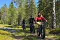 Levi Wilderness E-Fatbike Tour with Campfire, 3-4 hrs