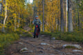Levi Wilderness E-Fatbike Tour with Campfire, 3-4 hrs