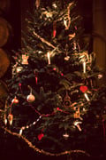 Christmas is Coming! 3 hours (Private Tour)