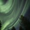 Northern Lights search on a minivan tour in Utsjoki