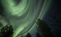 Northern Lights search on a minivan tour in Utsjoki