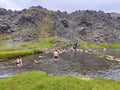 Private Landmannalaugar Hiking tour from Reykjavik - Pathway to Paradise
