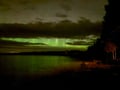 Autumn Northern Lights Adventure and Campfire Treats
