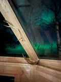 Autumn Northern Lights Adventure and Campfire Treats