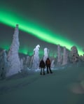 Searching For Northern Lights By Snowshoes
