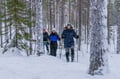 Ski Adventure with Overnight in a Wilderness Cottage & Sauna (Private)