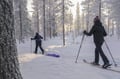 Ski Adventure with Overnight in a Wilderness Cottage & Sauna (Private)