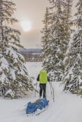 Ski Adventure with Overnight in a Wilderness Cottage & Sauna (Private)