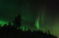 Ski Adventure with Overnight in a Wilderness Cottage & Sauna (Private)