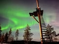 Aurora Adventure: Zipline & climbing adventure under the northern lights with free transport