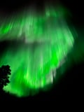 Aurora Adventure: Zipline & climbing adventure under the northern lights with free transport