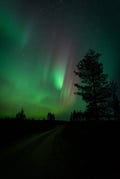 NORTHERN LIGHTS HUNTING WITH PHOTOGRAPHY (Small groups only)