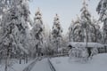 2 Day Tour Husky Ride, Snowmobiles, Northern Lights and Ranua Zoo