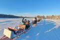 2 Day Tour Husky Ride, Snowmobiles, Northern Lights and Ranua Zoo
