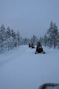 2 Day Tour Husky Ride, Snowmobiles, Northern Lights and Ranua Zoo