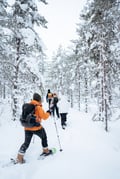 Snowshoeing tour in Levi