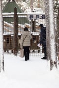 Siberian Husky, Husky Park visit, Rovaniemi Lapland