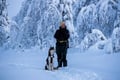 Husky Experience in Arctic Lapland *Kittilä / Levi Meeting Point